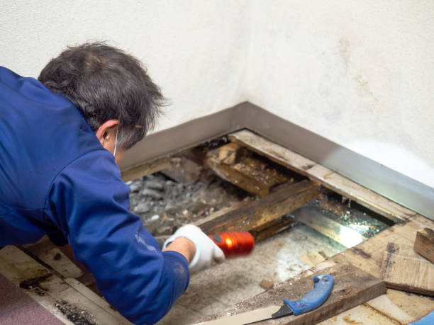 Best Mold Remediation for Schools in Friendship Heights Village, MD