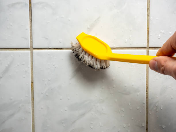 Best Bathroom Mold Remediation in Friendship Heights Village, MD
