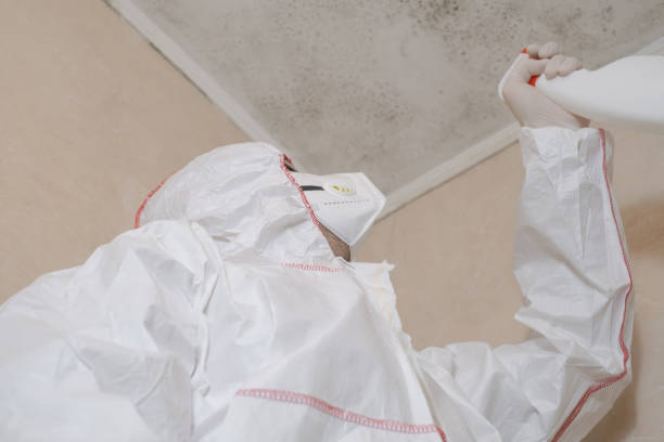 Best Residential Mold Remediation in Friendship Heights Village, MD
